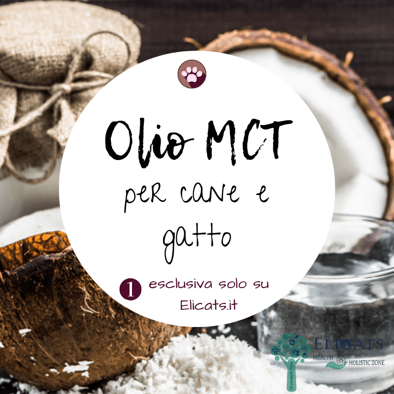 Olio MCT cane