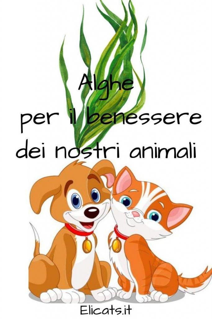 Alghe per il benessere dei nostri animali