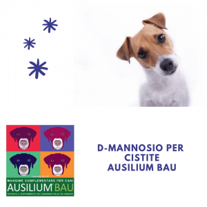 D-mannosio cane cistite