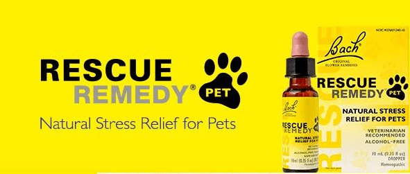 rescue remedy cats dosage