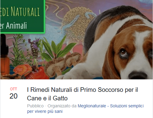 naturopatia cane gatto