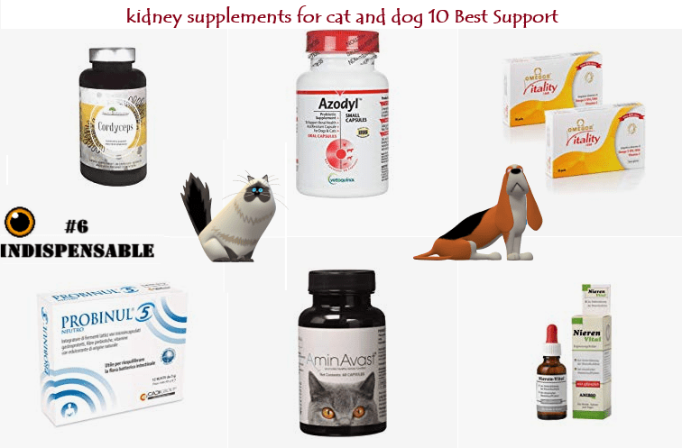 kidney supplements for cat and dog