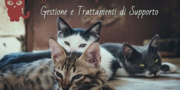 Malattie Del Fegato Nel Gatto Integratori E Cure Naturali