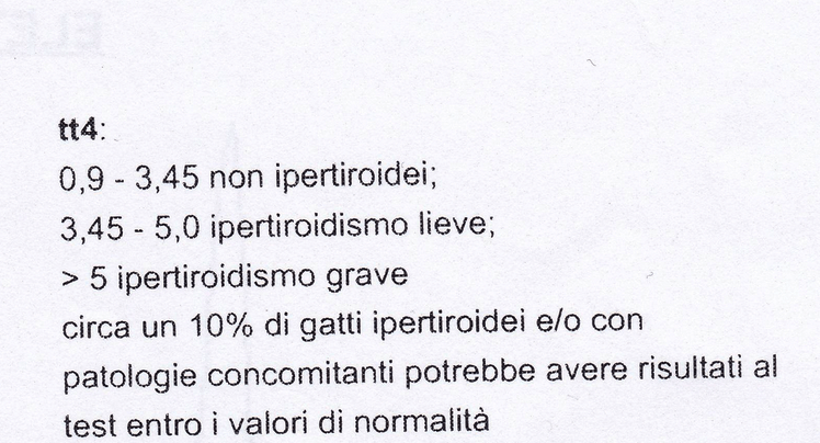 ipertiroidismo gatto felimazole