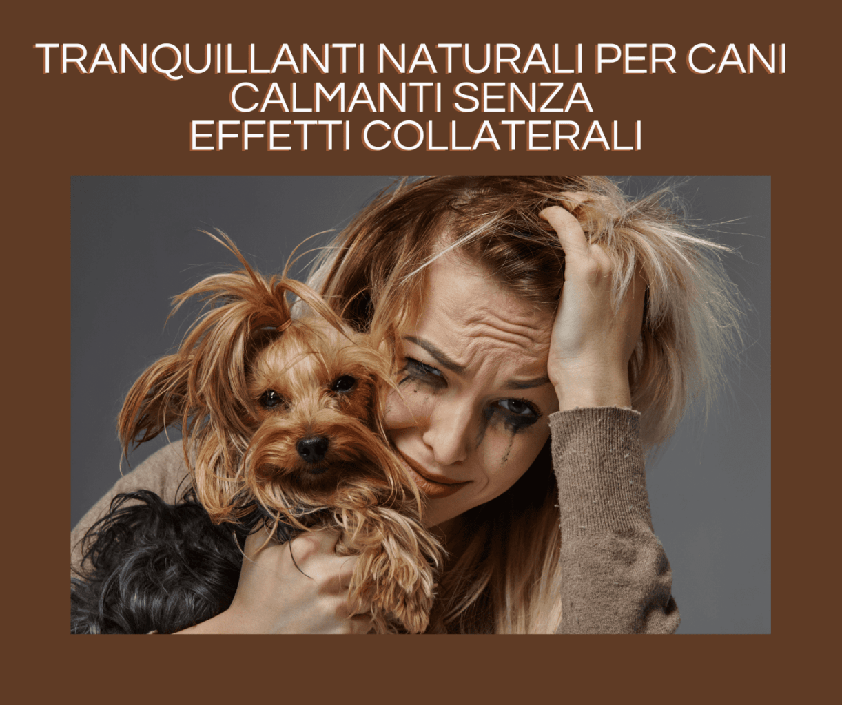 Tranquillanti naturali per cani