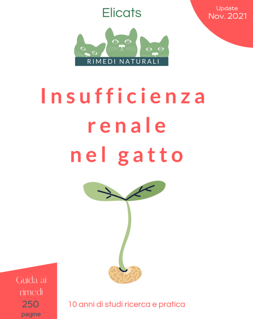 insufficienza renale gatto rimedi naturali