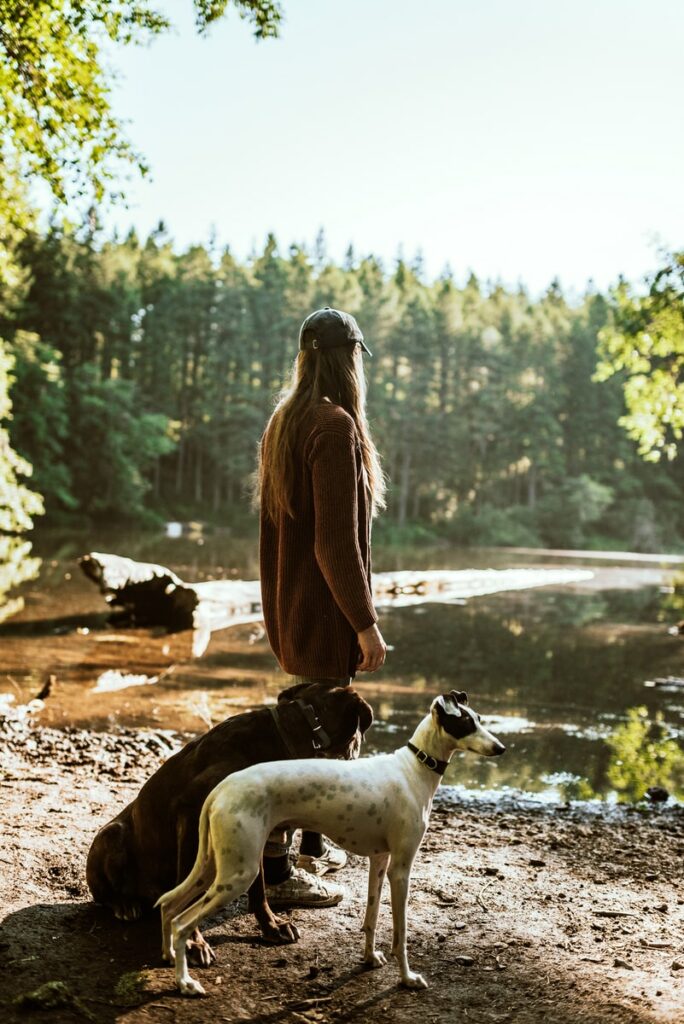 Torba naturale per cane gatto