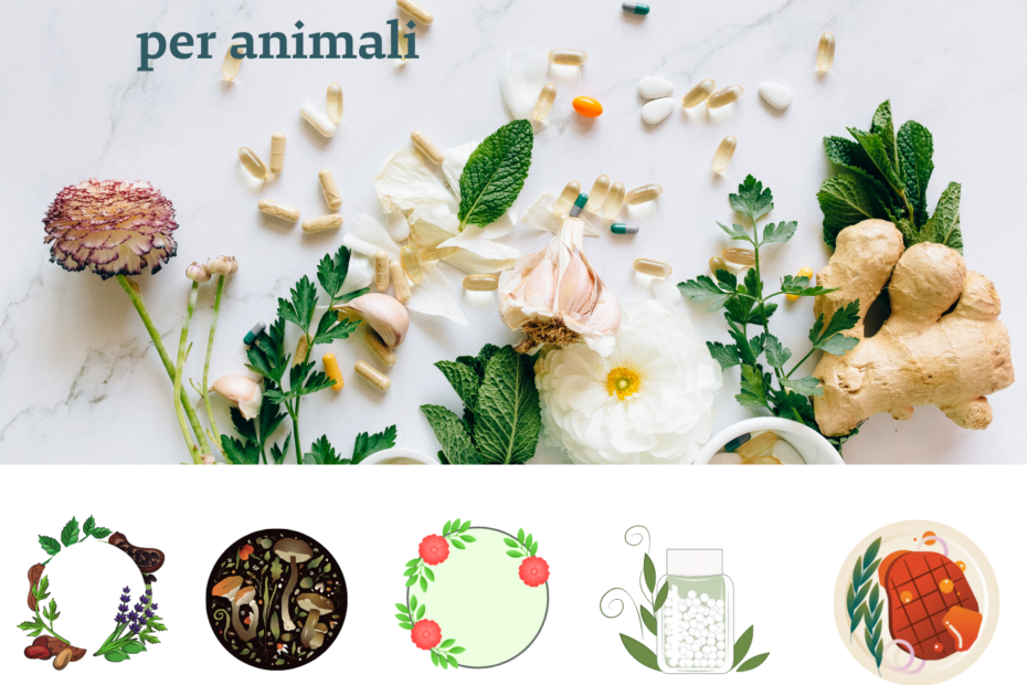 naturopatia per animali consulenza