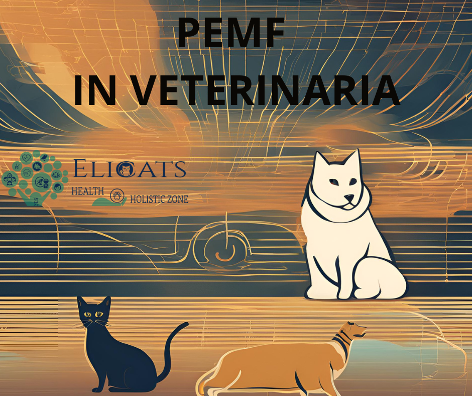 PEMF IN VETERINARIA