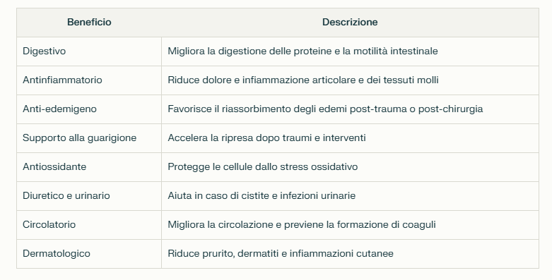 bromelina per cane e gatto